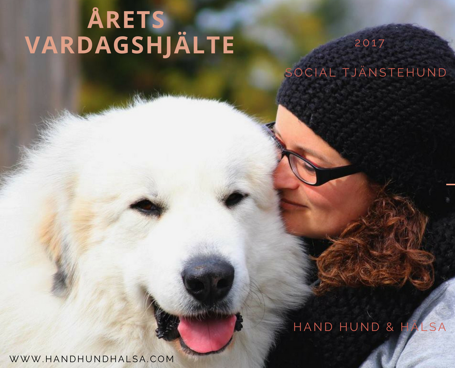 årets vardagshjälte